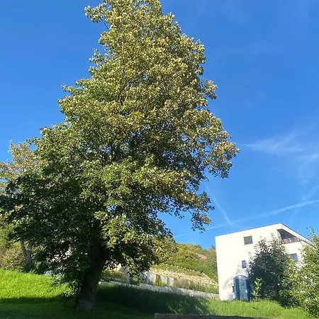 Harzperle 1 Ii Zentrales 3 Zi Ii Familien Bad Harzburg