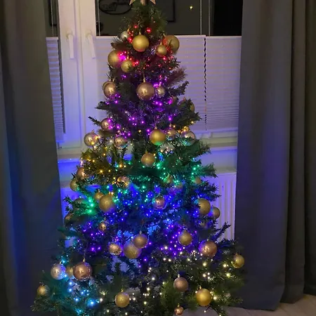 شقة Harzperle 1 Ii Zentrales 3 Zi Ii Familien