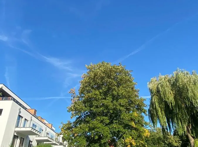 Apartmán Harzperle 1 Ii Zentrales 3 Zi Ii Familien Bad Harzburg